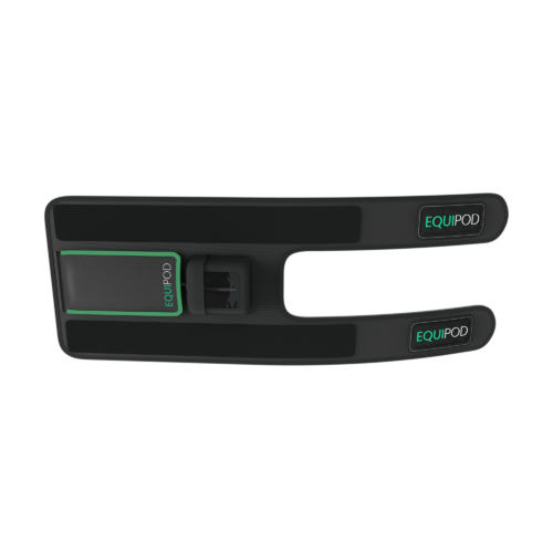 Equipod Leg Strap