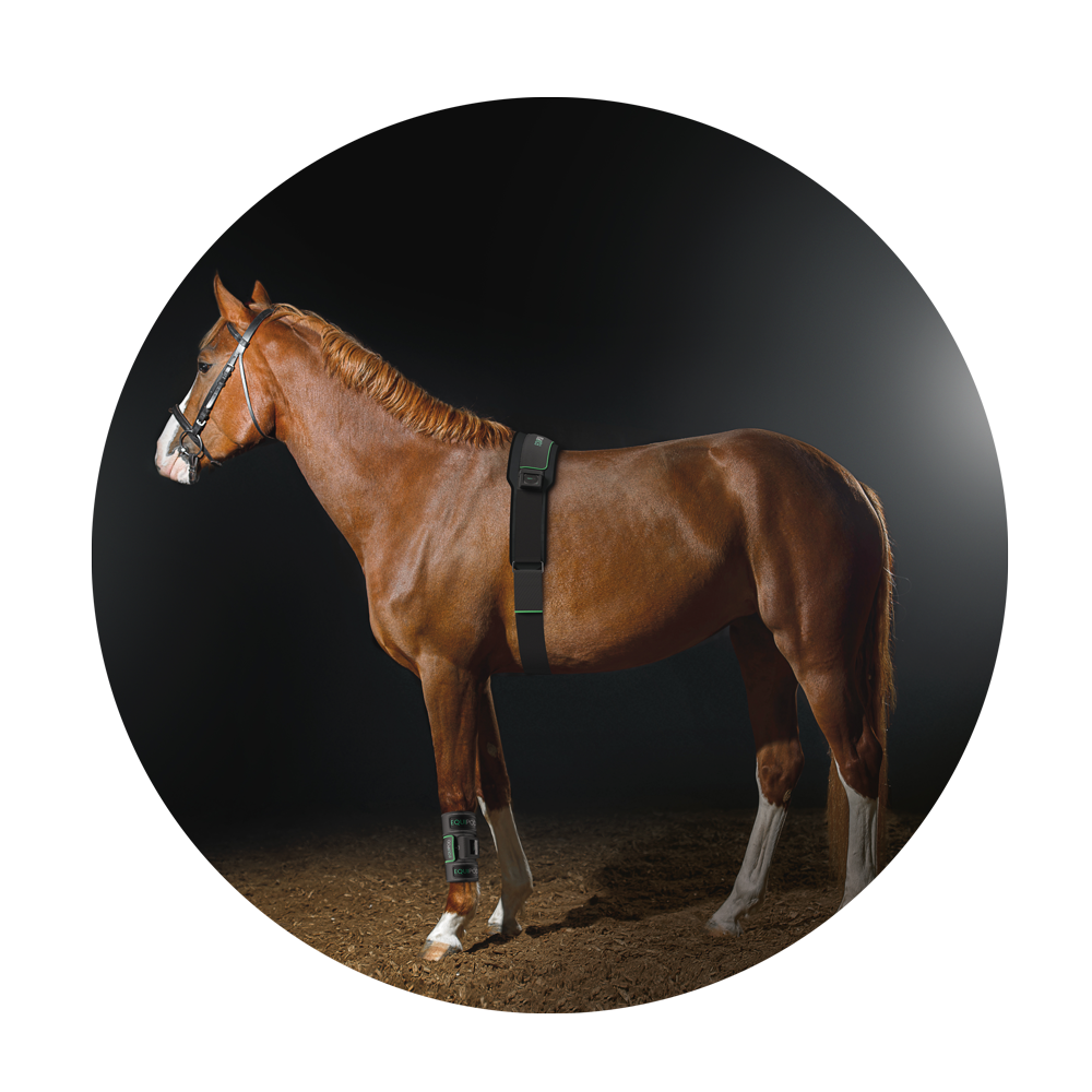 EquiPod THE TECHNOLOGY MyEquiTx